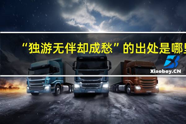 “独游无伴却成愁”的出处是哪里