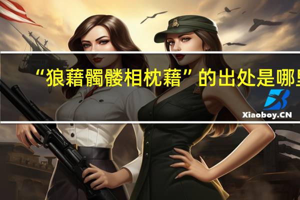 “狼藉髑髅相枕藉”的出处是哪里