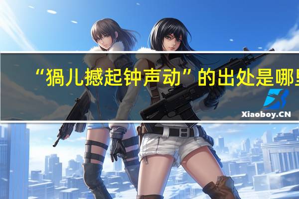 “猧儿撼起钟声动”的出处是哪里