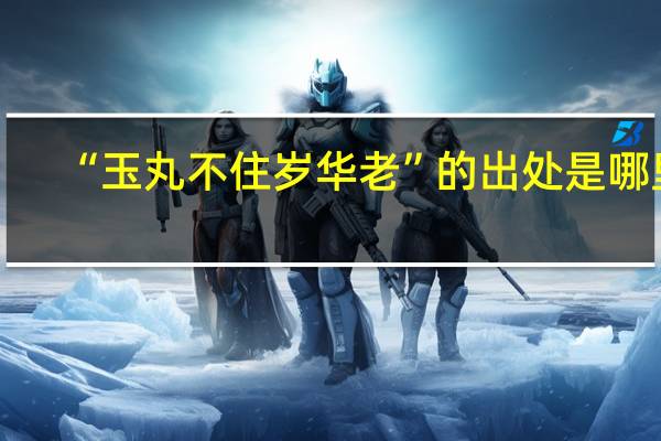 “玉丸不住岁华老”的出处是哪里