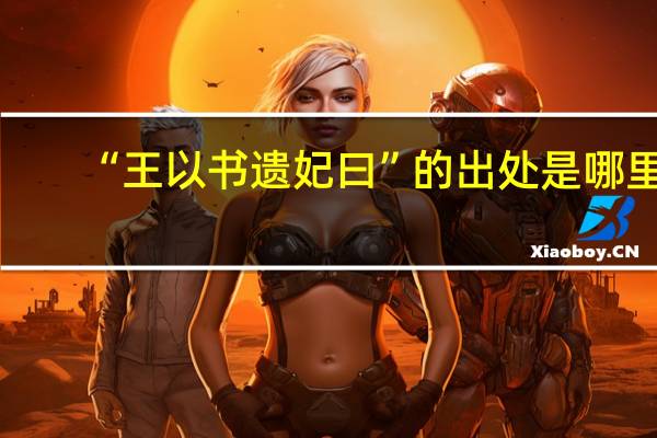 “王以书遗妃曰”的出处是哪里