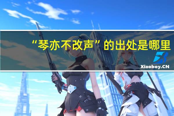 “琴亦不改声”的出处是哪里