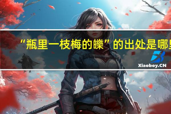 “瓶里一枝梅的皪”的出处是哪里