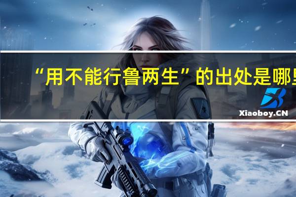 “用不能行鲁两生”的出处是哪里