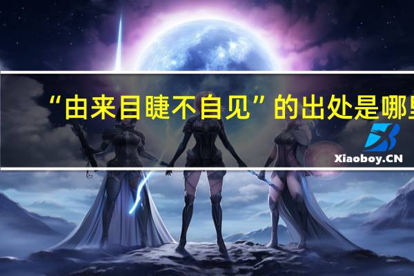“由来目睫不自见”的出处是哪里