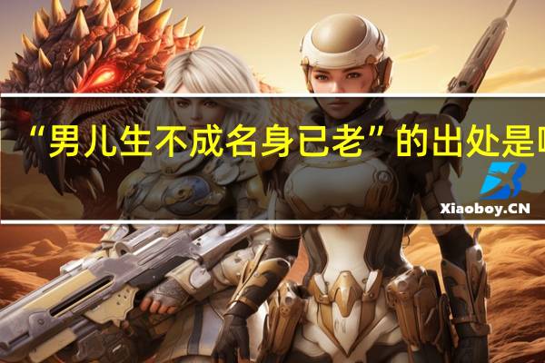 “男儿生不成名身已老”的出处是哪里