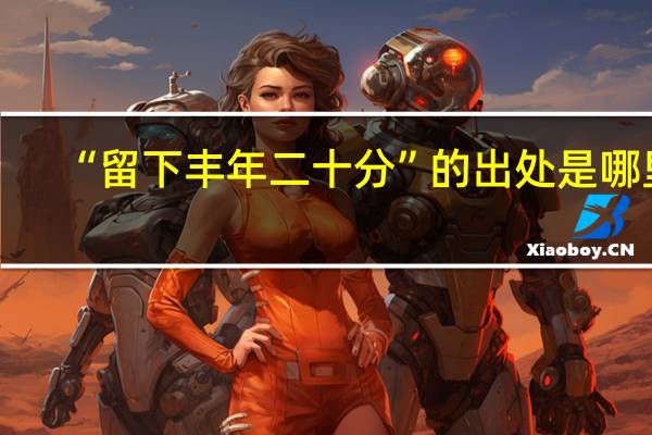 “留下丰年二十分”的出处是哪里