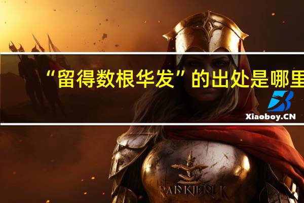 “留得数根华发”的出处是哪里