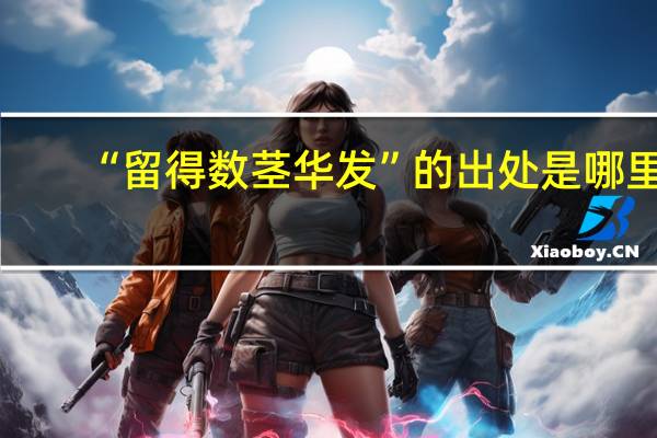 “留得数茎华发”的出处是哪里