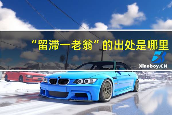 “留滞一老翁”的出处是哪里