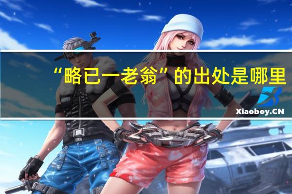 “略已一老翁”的出处是哪里