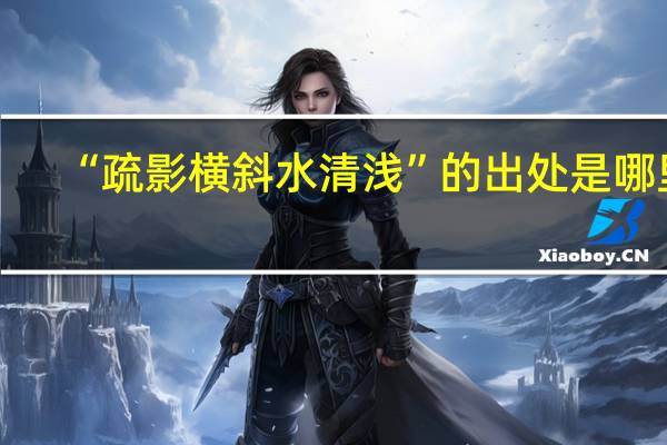 “疏影横斜水清浅”的出处是哪里