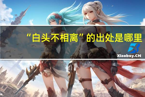 “白头不相离”的出处是哪里