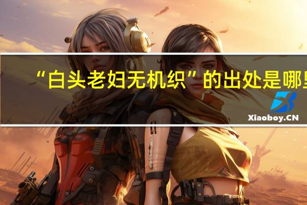 “白头老妇无机织”的出处是哪里