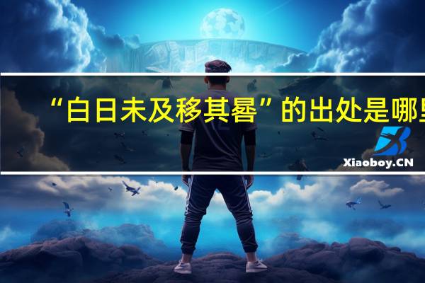 “白日未及移其晷”的出处是哪里