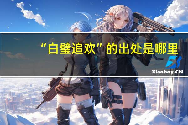 “白璧追欢”的出处是哪里