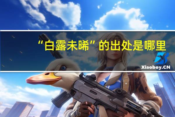 “白露未晞”的出处是哪里