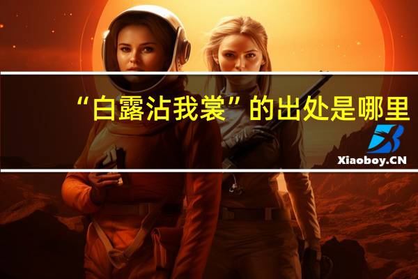 “白露沾我裳”的出处是哪里