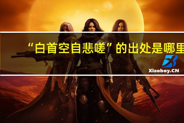 “白首空自悲嗟”的出处是哪里