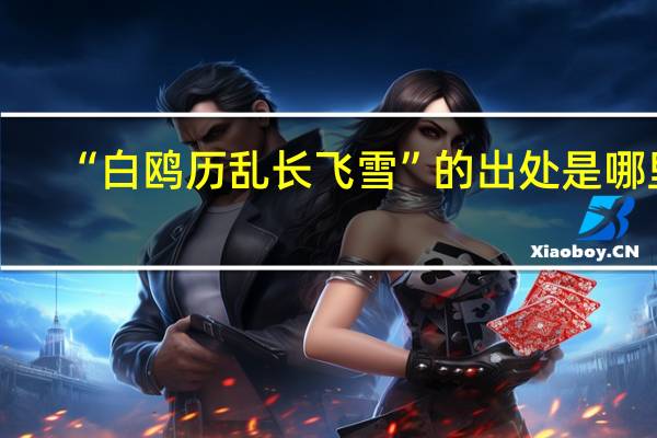 “白鸥历乱长飞雪”的出处是哪里