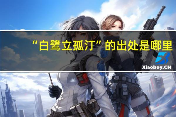 “白鹭立孤汀”的出处是哪里