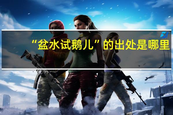 “盆水试鹅儿”的出处是哪里