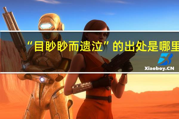 “目眇眇而遗泣”的出处是哪里