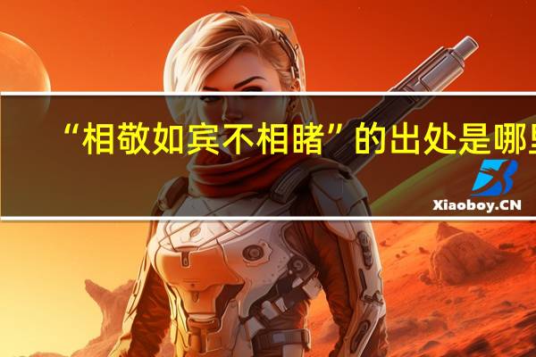 “相敬如宾不相睹”的出处是哪里