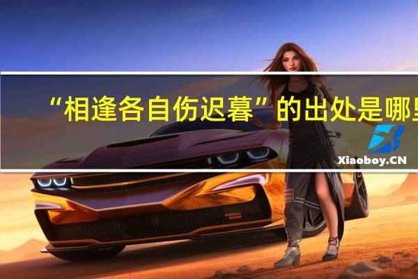 “相逢各自伤迟暮”的出处是哪里