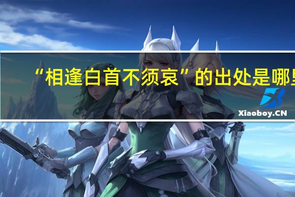 “相逢白首不须哀”的出处是哪里