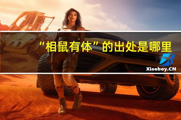 “相鼠有体”的出处是哪里