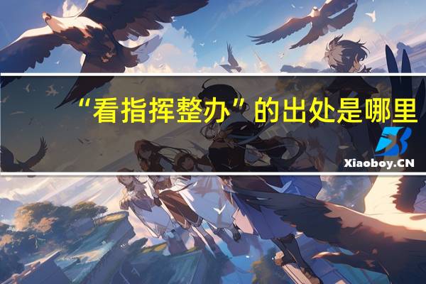 “看指挥整办”的出处是哪里