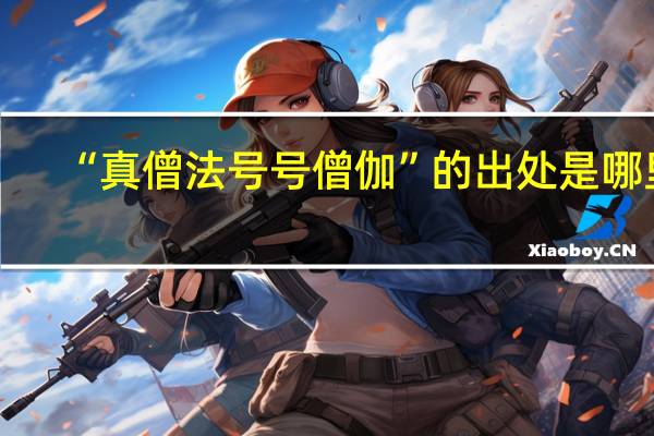 “真僧法号号僧伽”的出处是哪里