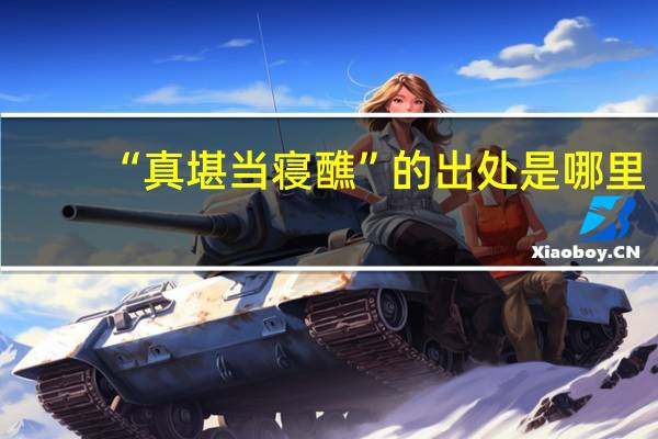 “真堪当寝醮”的出处是哪里