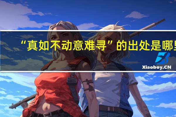 “真如不动意难寻”的出处是哪里