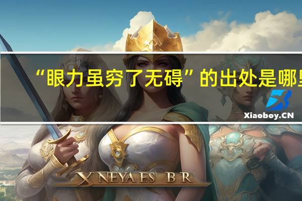 “眼力虽穷了无碍”的出处是哪里