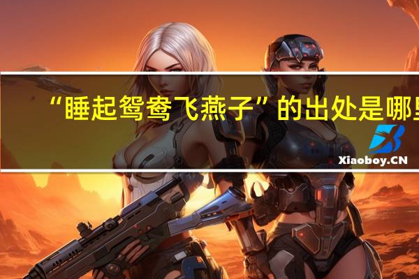 “睡起鸳鸯飞燕子”的出处是哪里