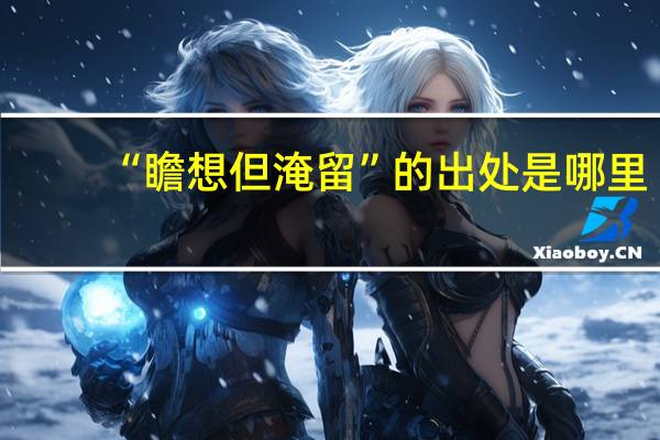 “瞻想但淹留”的出处是哪里