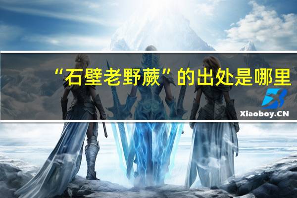 “石壁老野蕨”的出处是哪里