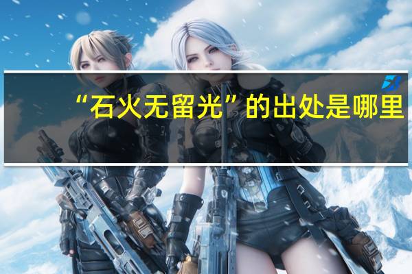 “石火无留光”的出处是哪里