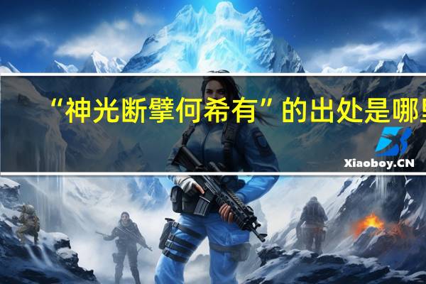“神光断擘何希有”的出处是哪里
