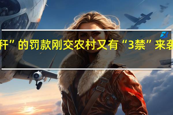“禁烧秸秆”的罚款刚交农村又有“3禁”来袭 农民说太难了
