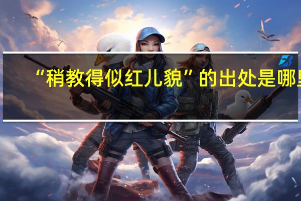 “稍教得似红儿貌”的出处是哪里