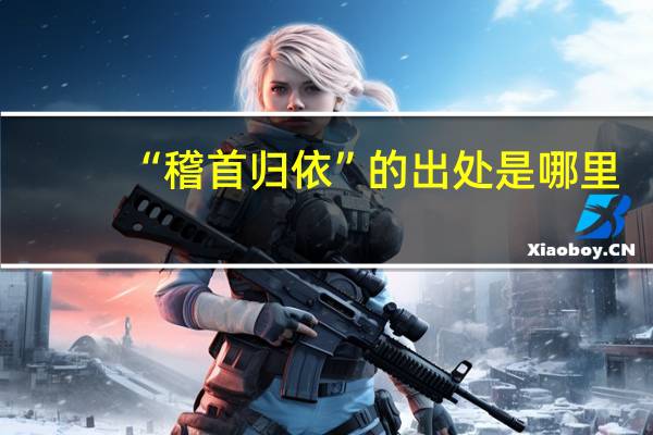 “稽首归依”的出处是哪里