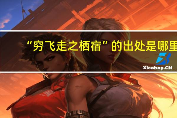 “穷飞走之栖宿”的出处是哪里