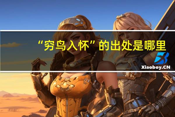 “穷鸟入怀”的出处是哪里