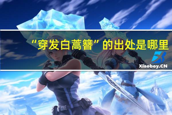 “穿发白蒿簪”的出处是哪里