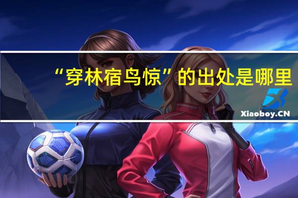 “穿林宿鸟惊”的出处是哪里