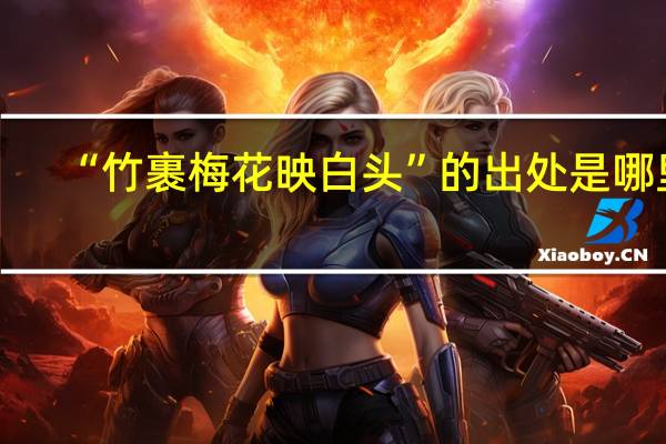 “竹裹梅花映白头”的出处是哪里