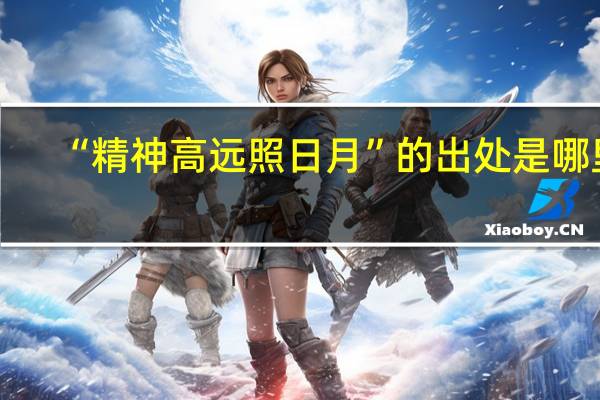 “精神高远照日月”的出处是哪里